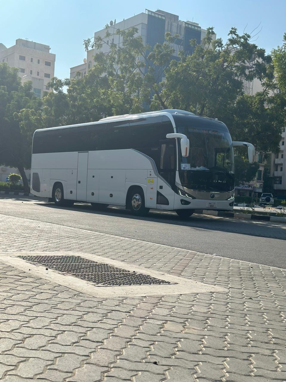 WhatsApp Image 2024-12-31 at 6.58.30 PM (1)