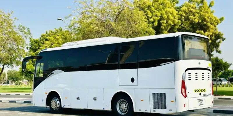 WhatsApp Image 2024-12-31 at 6.56.31 PM