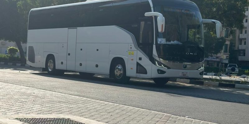 WhatsApp Image 2024-12-31 at 6.58.30 PM (1)