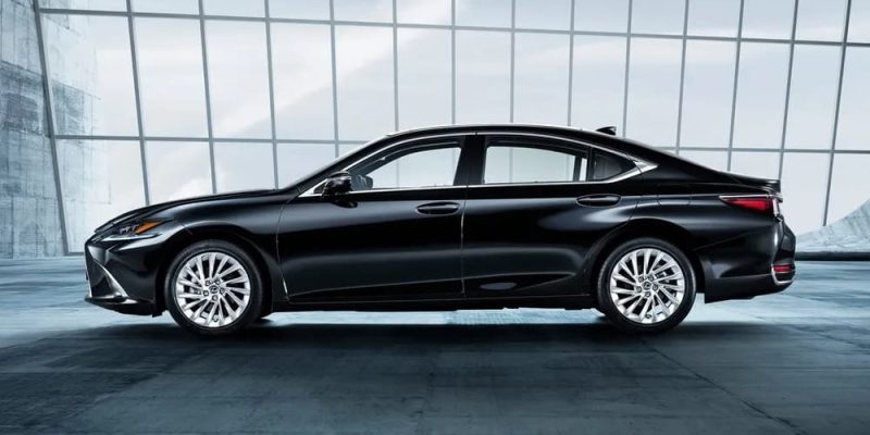 WhatsApp Image 2025-01-22 at 12.20.43 AM (2)