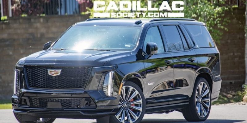 WhatsApp Image 2025-01-22 at 12.24.00 AM (1)